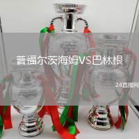 普福尔茨海姆VS巴林根