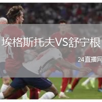 埃格斯托夫VS舒宁根