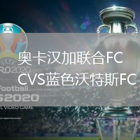 奥卡汉加联合FCVS蓝色沃特斯FC